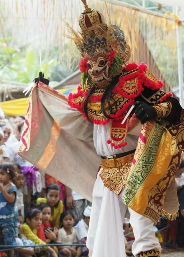 Halumba Eco Villa Bali Tejakula Εξωτερικό φωτογραφία